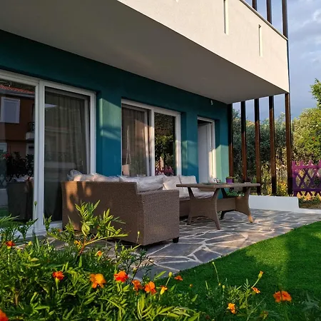 Marigold * 프리노스