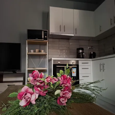 Marigold 프리노스