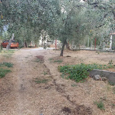 Marigold 빌라 프리노스