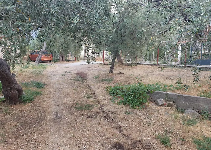 Marigold Villa Prínos